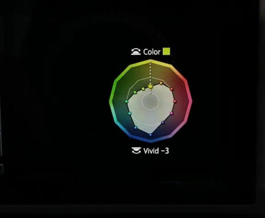 奥巴EP7自定义色轮和理光正片模式对比