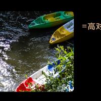 2026电视圈第一波震撼：SQD-Mini LED普惠了！细说TCL Q10M画质亮点