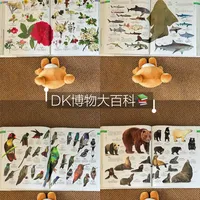DK博物大百科 | 一本可以看一辈子的好书📖