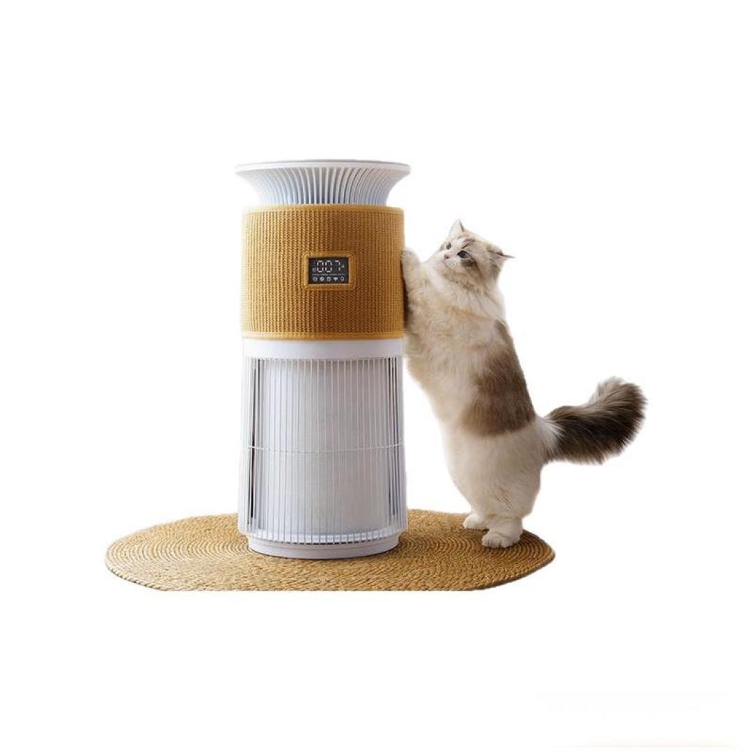家里宠物猫的浮毛太多，用空气净化器有用吗？