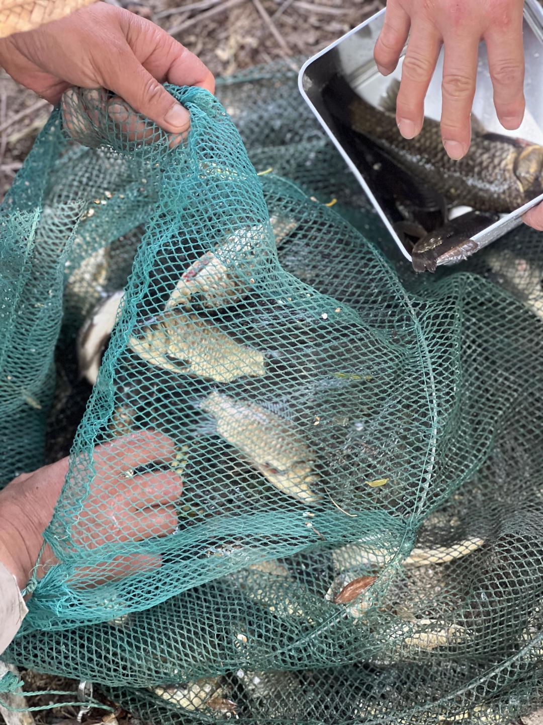 如果能从童年记忆中提取一份「浓度最高」的年味带给现在的小朋友体验,你会选哪一段?