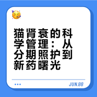 肾衰竭不是绝症2026最新 AIM 特效药全解析