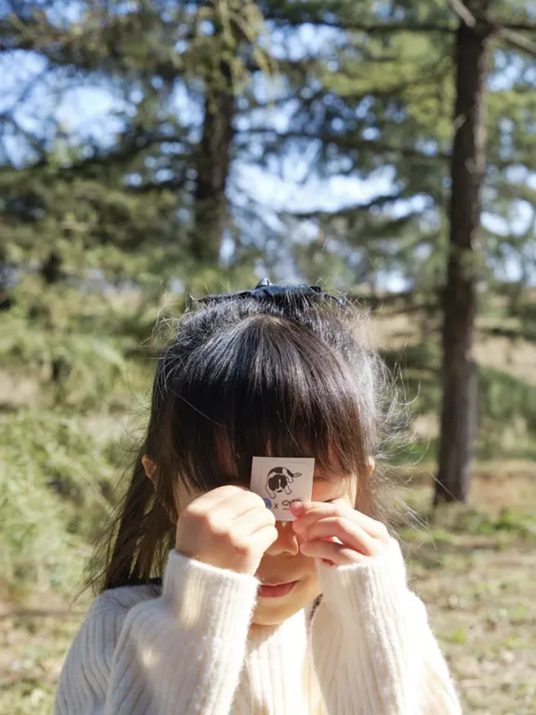 中画幅就一定强吗?——GFX50s2拍摄感受