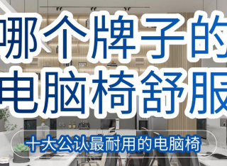 哪个牌子的电脑椅舒服？十大公认最耐用的电脑椅