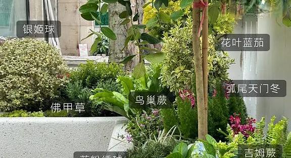 💐🌳庭院植物搭配丨普通人购买的性价比花镜_园艺用品_什么值得买