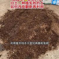 旧土如何改良 #月季养护 #绿植花卉 #旧土翻新 #旧土杀菌杀虫 #旧土改良 旧土，板结的的土，田园土，种植失败的土，如何改良翻新使用，视频有点长，耐心看完，觉得有用的点赞收藏，旧土改良所需基质，旧土翻新所需杀菌叉虫药，橱窗里都有。🌹