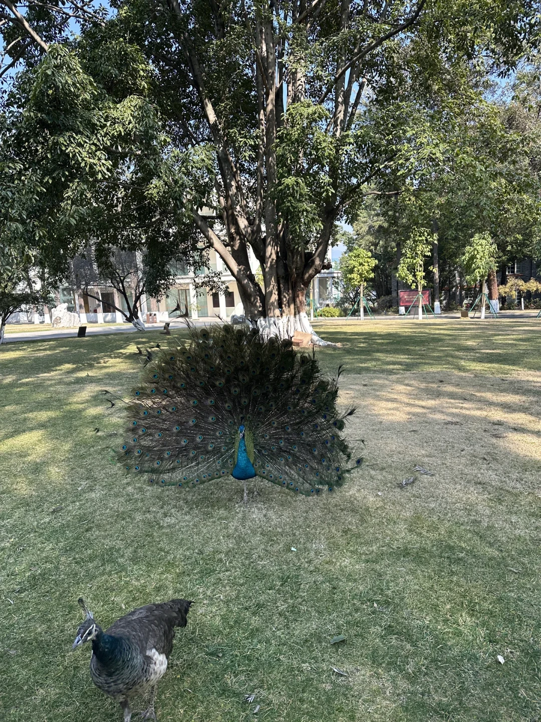 西昌3日游🏖️这次攻略我愿意给自己打满分💯