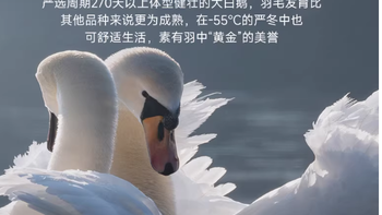 2025新款静音95白鹅绒被｜寒冬安睡天花板✨