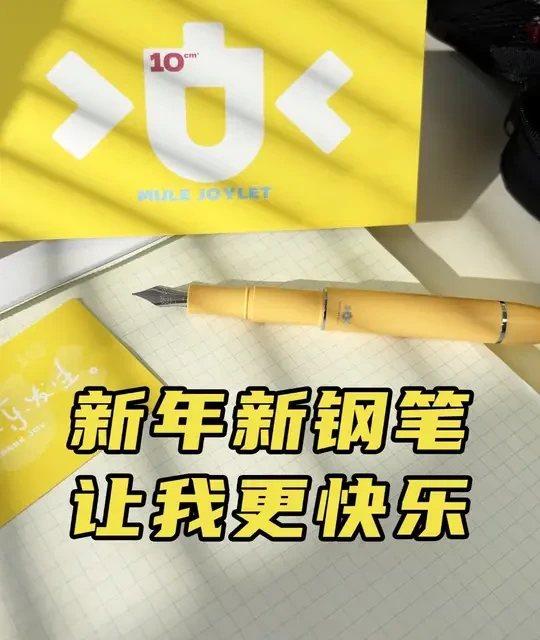 新年新笔开箱~ #文具安利 #钢笔 #写字是一种生活 #开箱vlog  #学习用品
