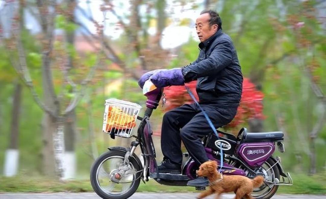 “老头乐”替代品来了!适合60岁以上老年人,不罚不扣能上牌上路