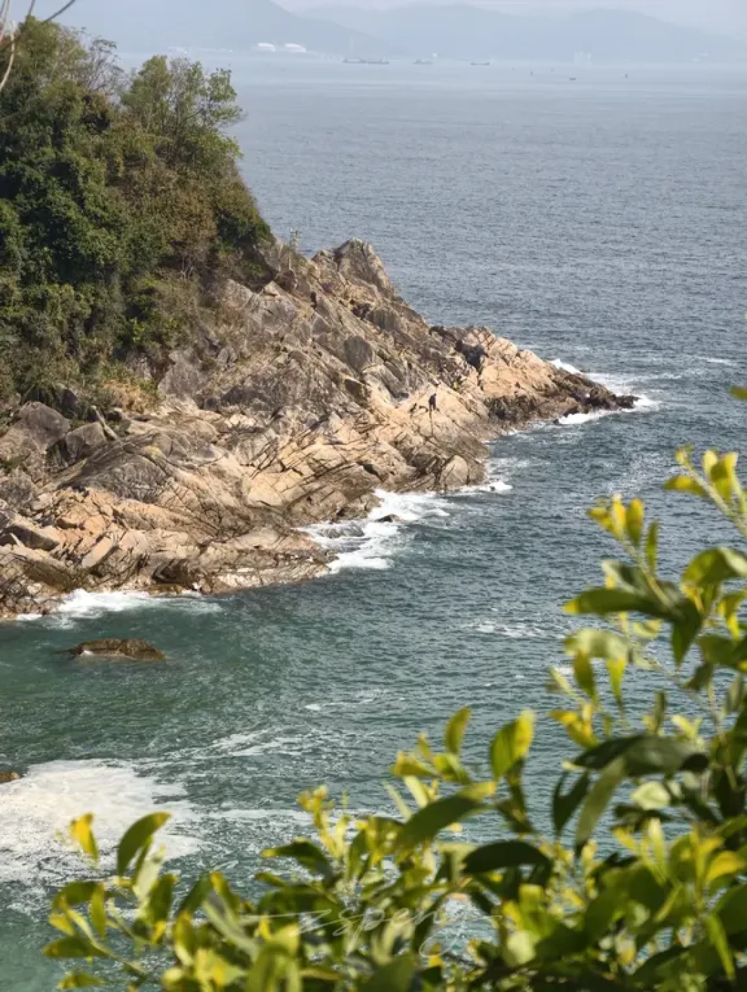深圳地铁直达最美海岸线