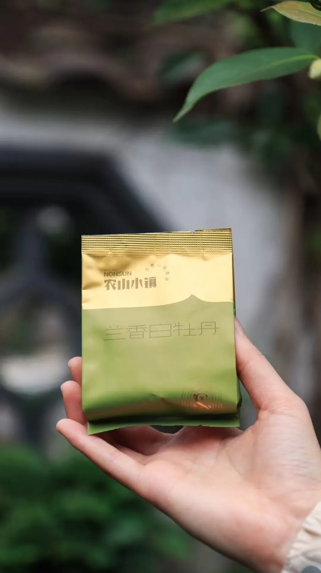 茶适甄选：茶承岁序，礼贺新程｜六款丙午年茶礼，藏尽东方雅韵
