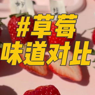 不同品种盆栽草莓试吃，哪些品种好吃，糖度更高？#盆栽草莓#种草莓 #草莓采摘