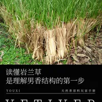 好闻男香，三分调的好，七分岩兰草/香根草