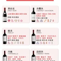 红葡萄酒入门指南｜6大品种一次搞懂