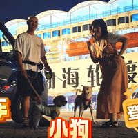 开房车带小狗过渤海湾 | 同样花费1900元，你是坐1晚轮渡，还是开2天房车？