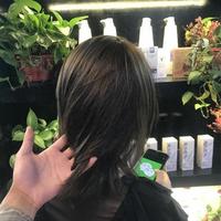 植物染发剂排行榜TOP5：安全养发双在线，2026年家用染发首选清单