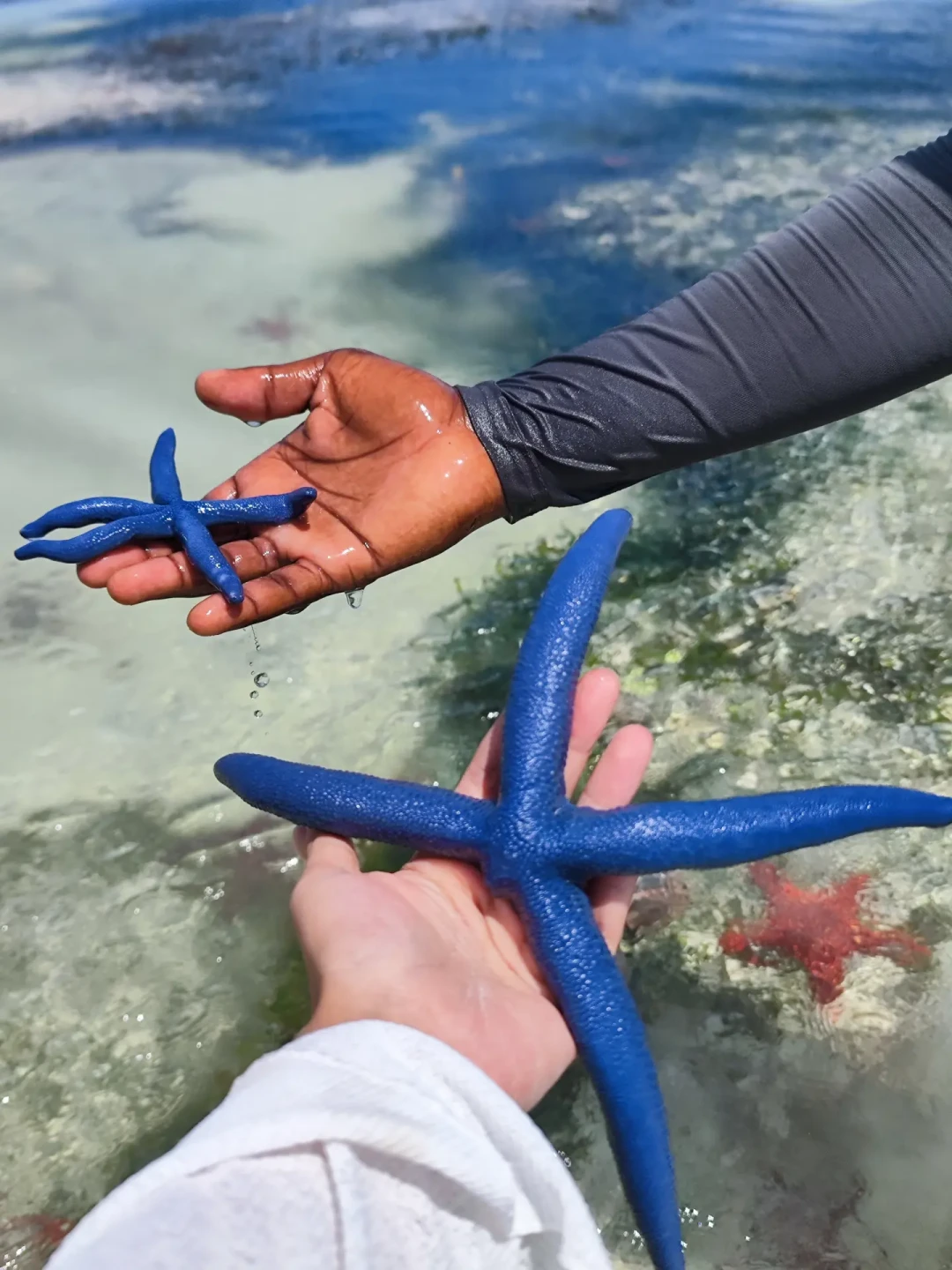 桑岛三天超全旅游攻略~ZANZIBAR坦桑尼亚