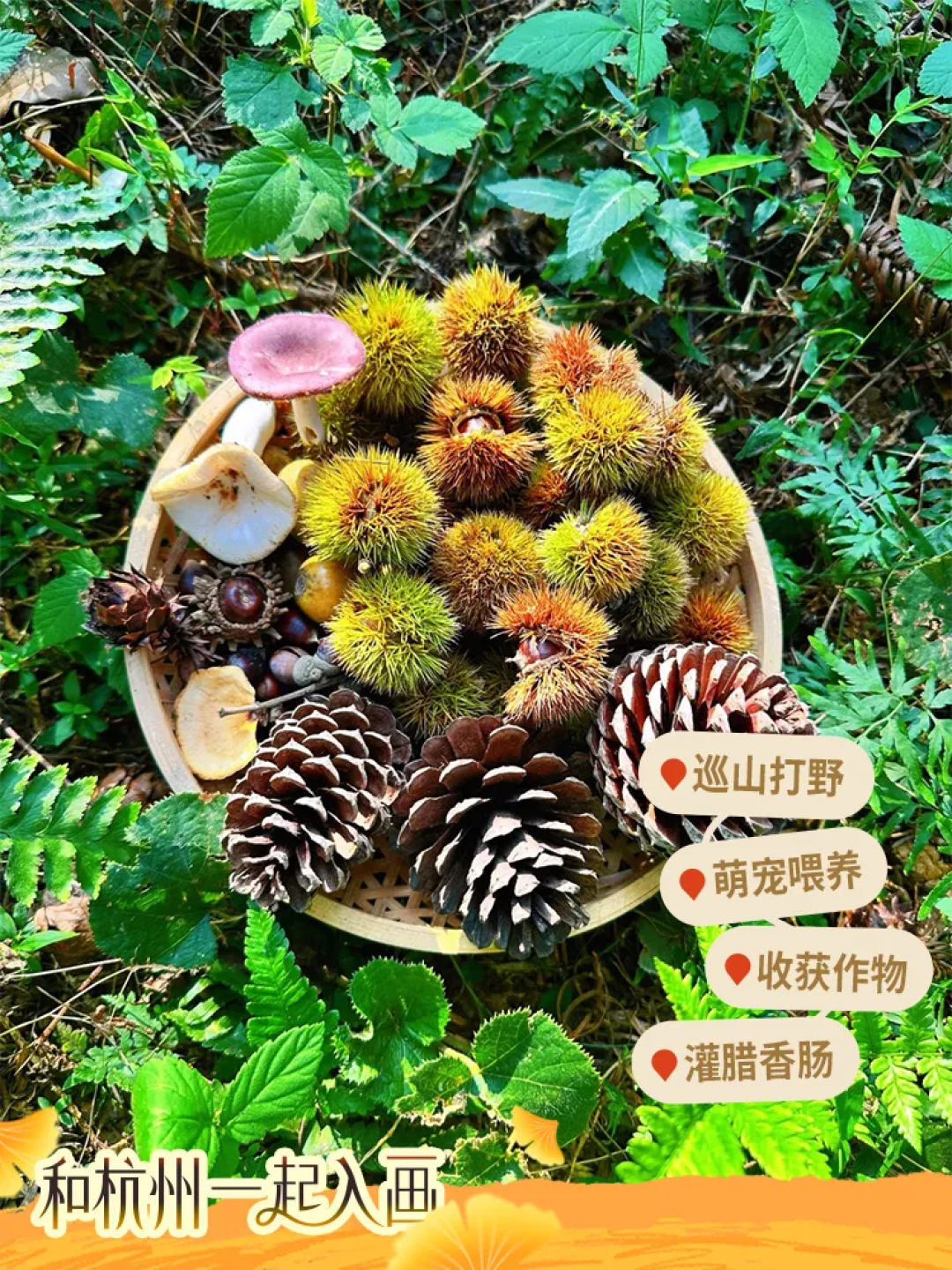 私藏!杭州这6个宝藏点位,承包你的秋冬惬意!