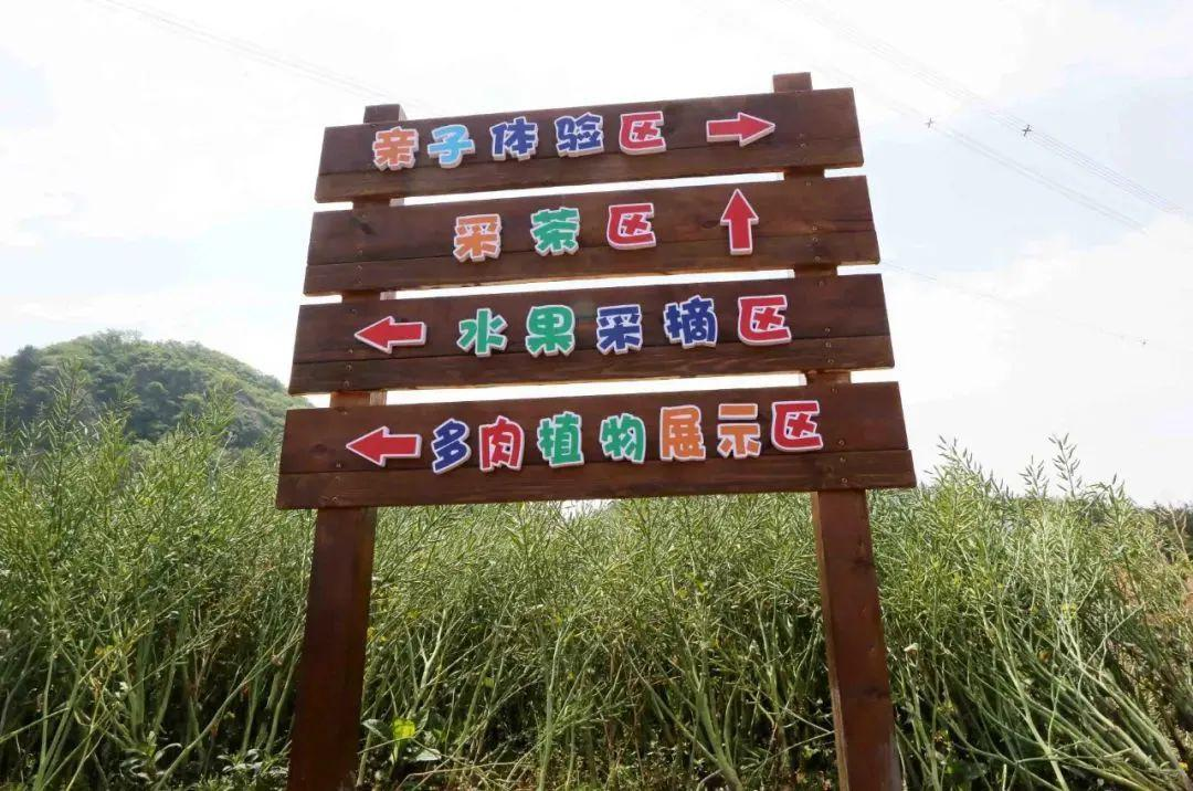 私藏!杭州这6个宝藏点位,承包你的秋冬惬意!
