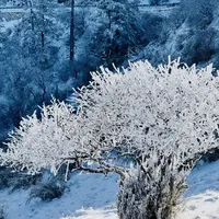误入无人之境神农架天燕景区绝美燕子娅初雪