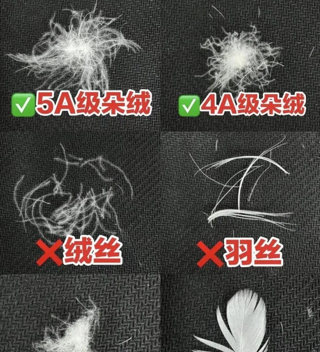 曾风靡一时，如今却“跌下神坛”的羽绒服品牌，有你穿过的吗？