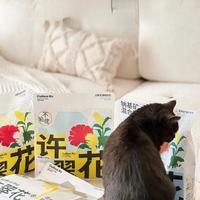 📝 许翠花四款热门猫砂一站式测评！