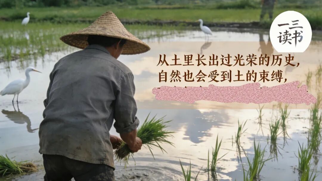 乡土与现代碰撞,读懂乡土看透中国社会的底层逻辑