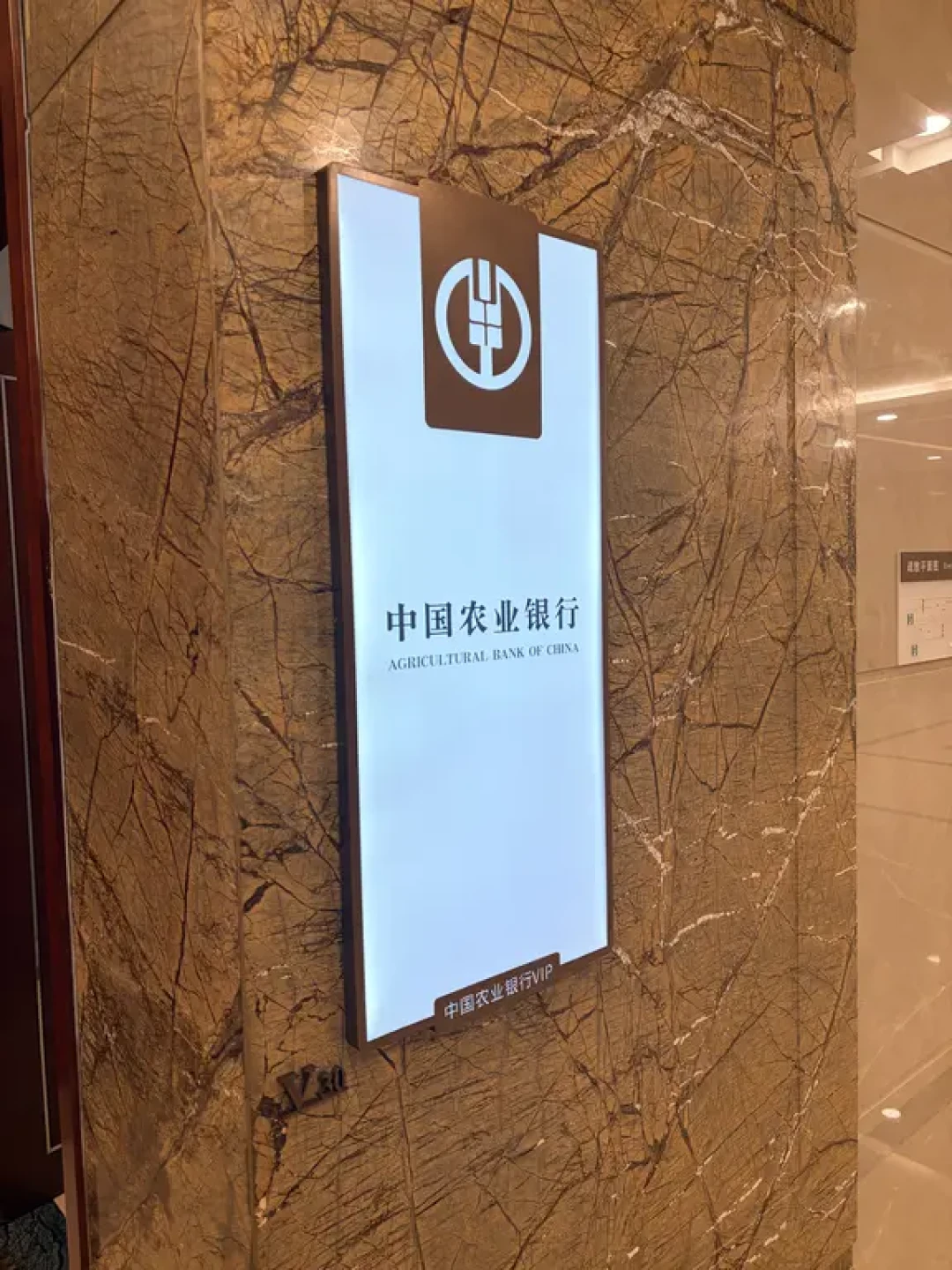 《没想到…PP卡在深圳和多哈居然能这么用|两