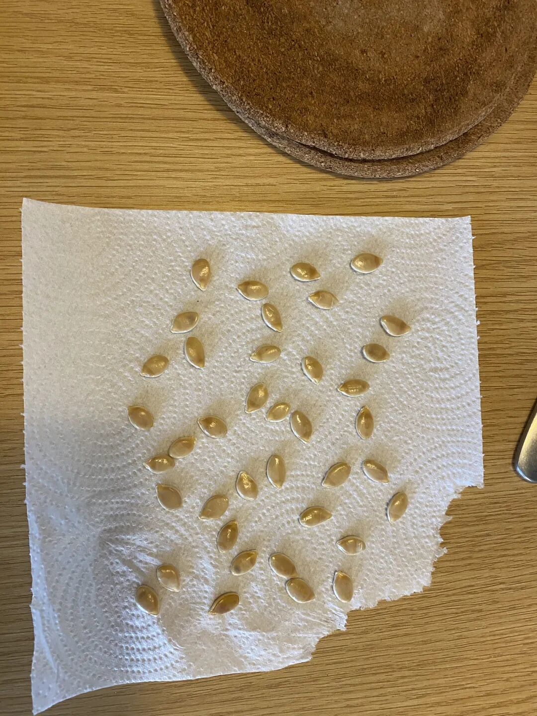 一月种菜小记 打算种点粉色土豆