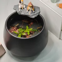 全网最小古法鱼缸造景教程来啦🐟