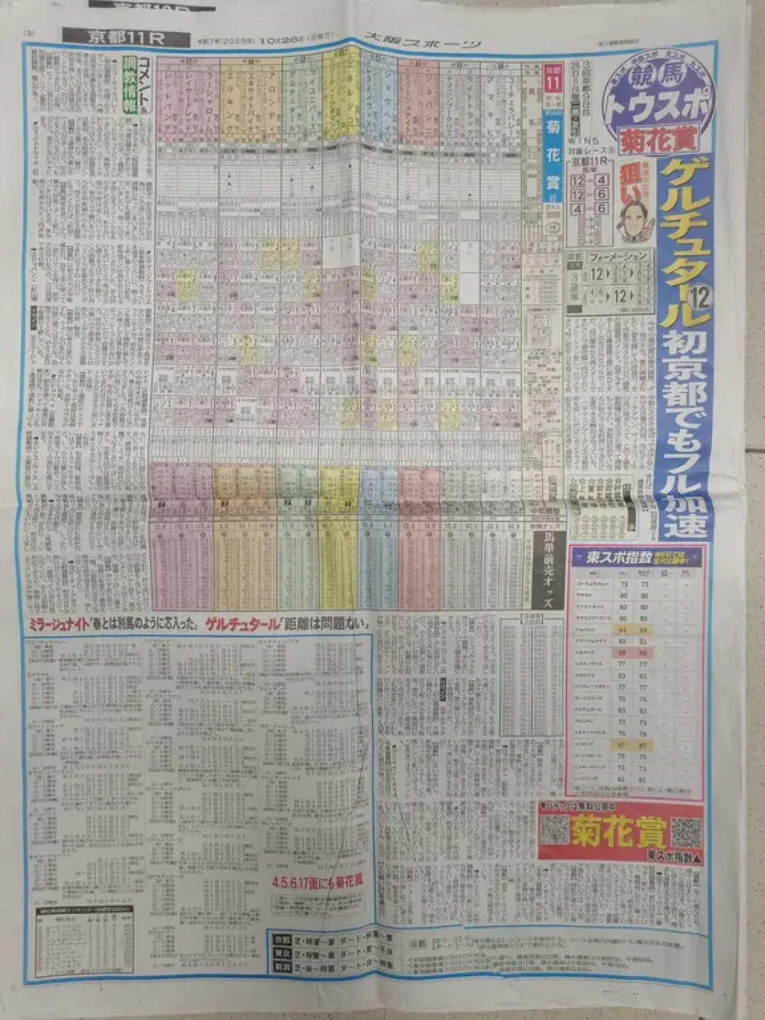 日本赛马专题（2观赛指南①）