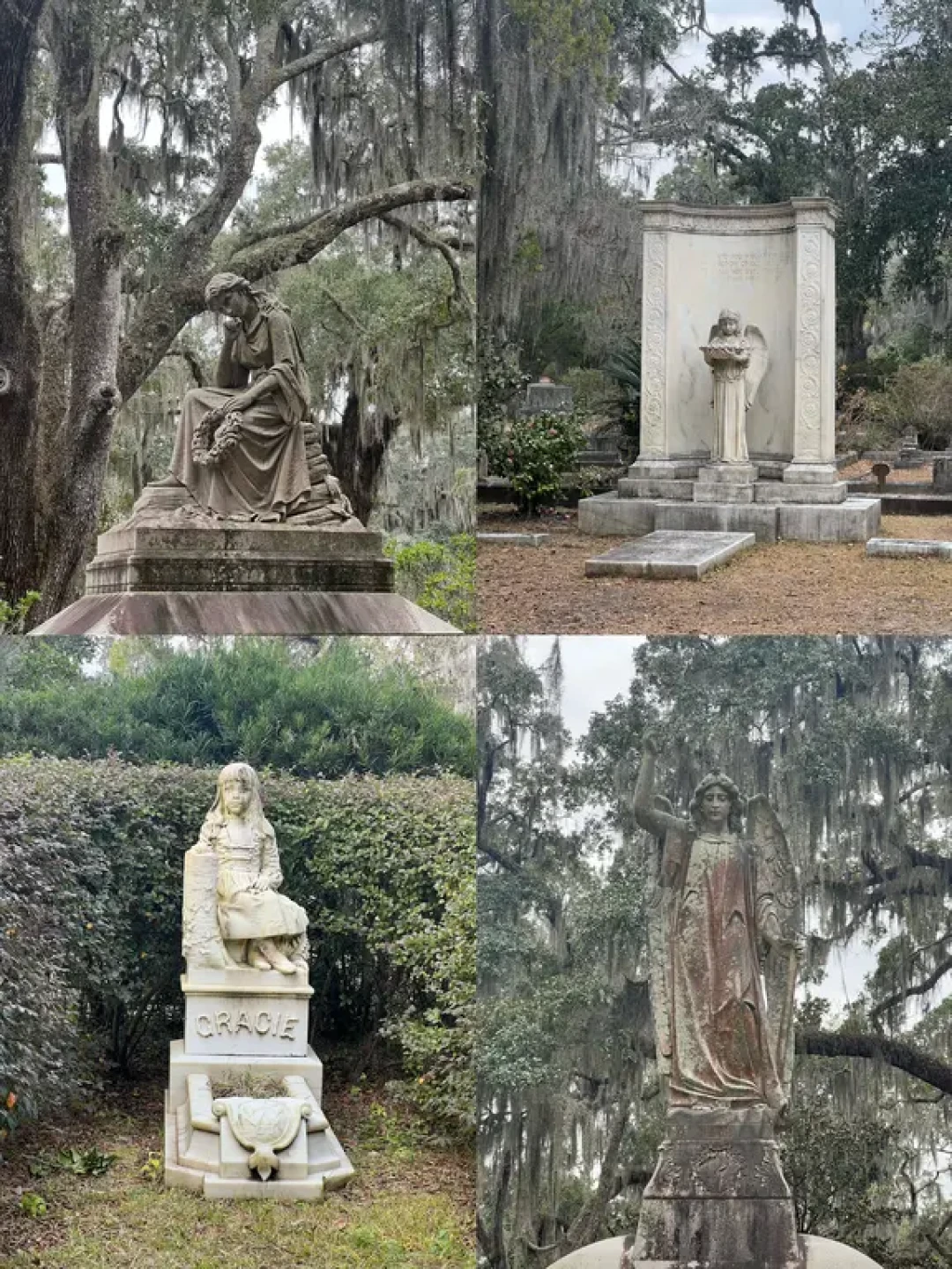 Savannah萨凡纳|慢慢走的一份游玩攻略🎄