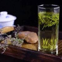 安徽四大名茶品鉴指南：从入门到精通