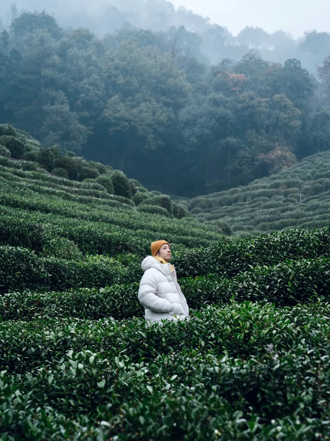 杭州四季都很治愈的Citydrive黄金线路🍃