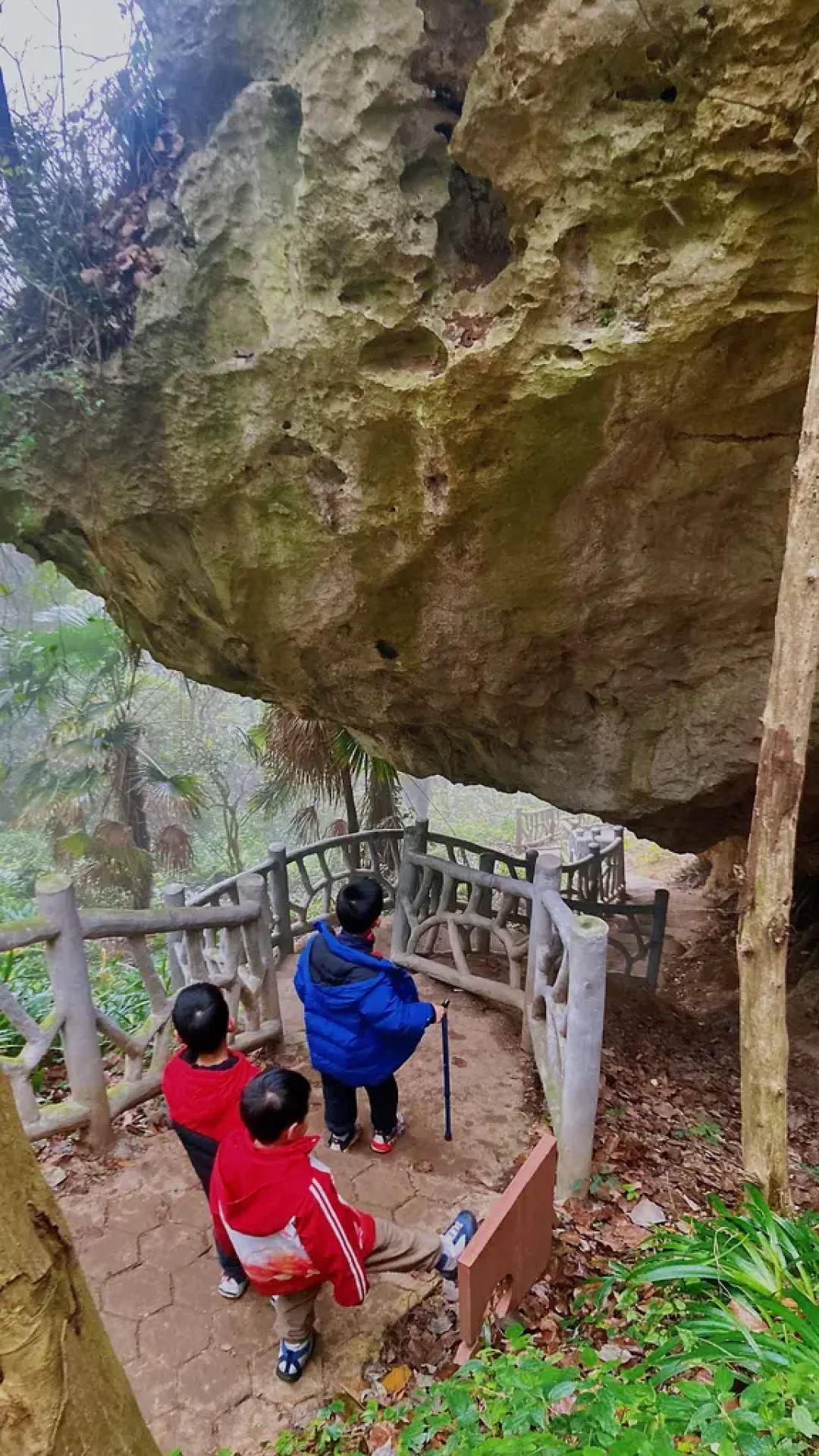 🌟 葛仙山徒步领奖牌!3km环线新手超友好