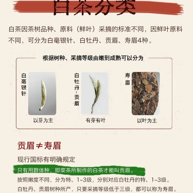 贡眉和寿眉它们区别在哪儿？看完你就不会再搞混！