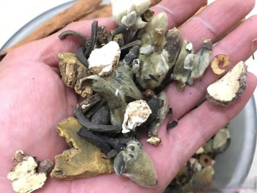 6个钓鱼“秘方”,不神奇、但很经典,经得起时间的考验!