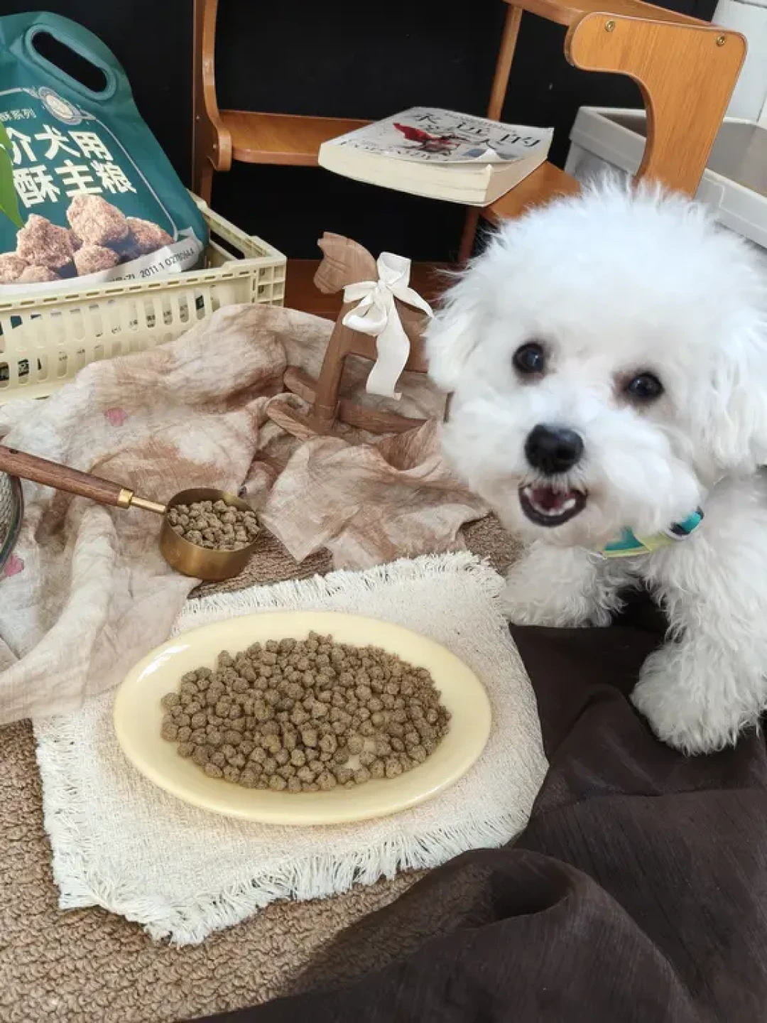 share.|玻璃胃小狗狗粮指南🧭