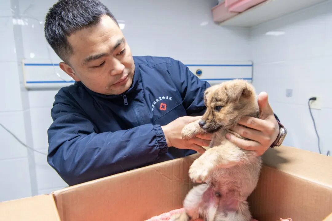 这届患者让医生很“上头”