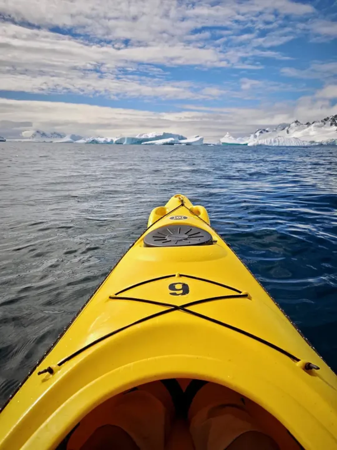 退休去南极❄️冰山中的皮划艇体验🚣