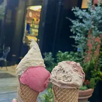 这是一期gelato博主🍄的分享