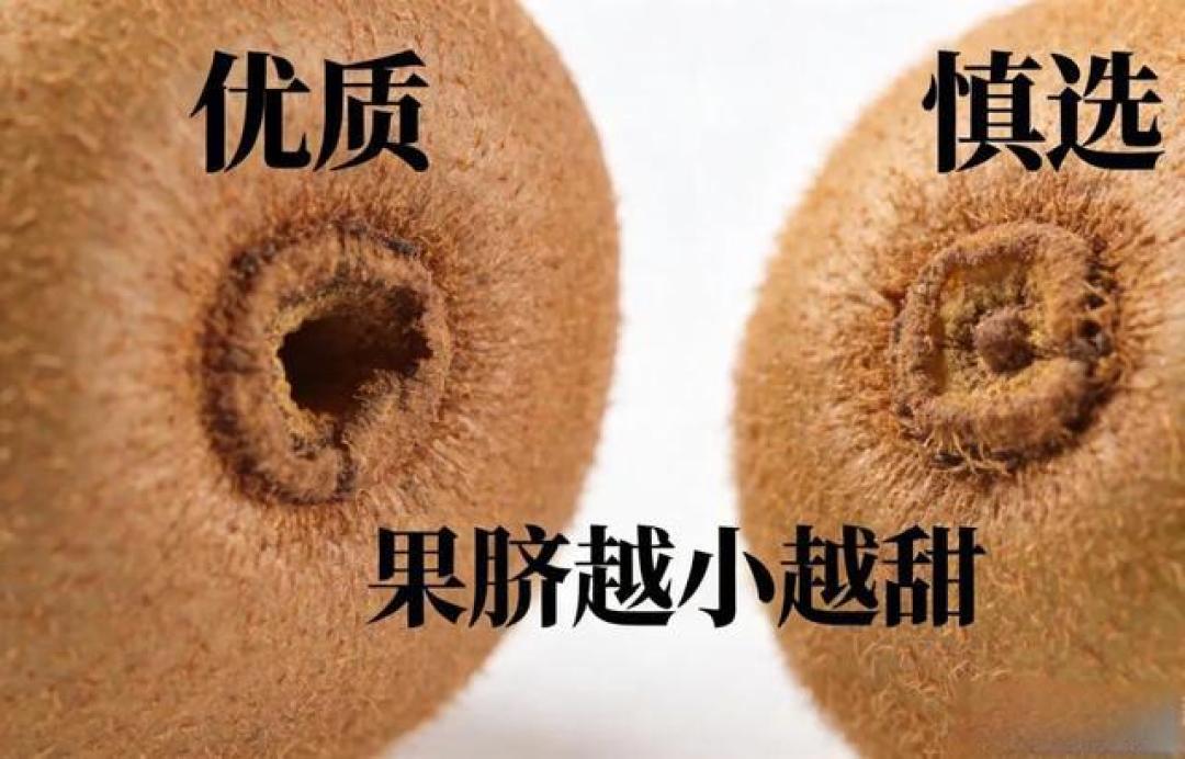 买猕猴桃,挑选“长的”还是“圆的”?果农教你一招,一挑一个准