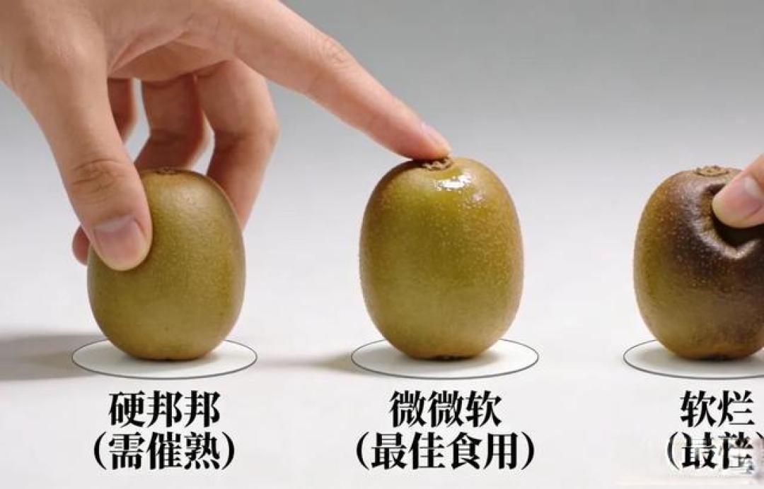 买猕猴桃,挑选“长的”还是“圆的”?果农教你一招,一挑一个准