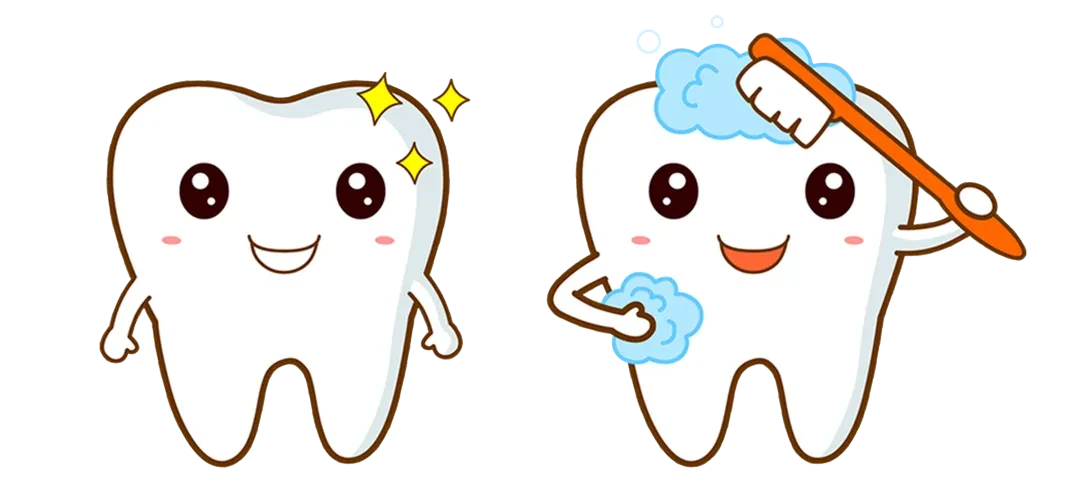 吃东西老塞牙,牙缝里很臭怎么办?