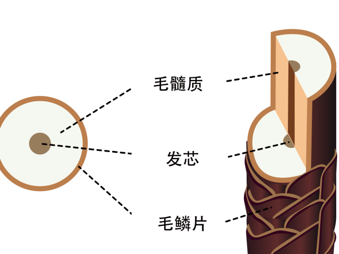 告别