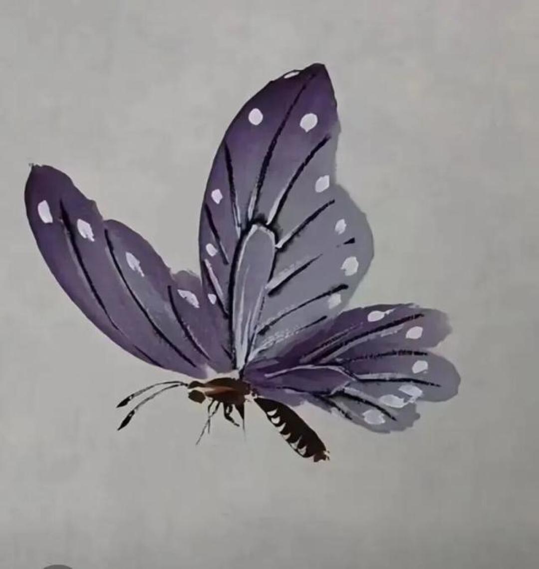 十幅写意蝴蝶：翩翩起舞，绘画好素材