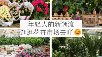去花卉市场买花，别只盯着蝴蝶兰，这4种好看而且寓意好！