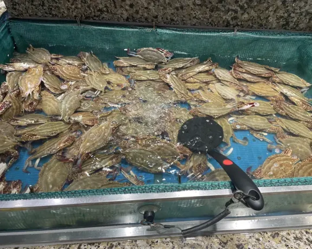 初色海鲜自助扶墙出+开心麻花笑出泪