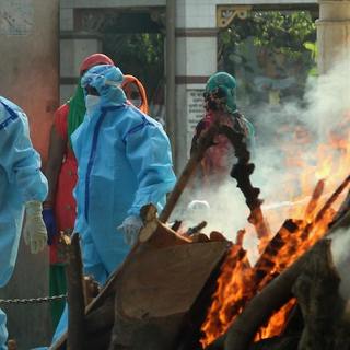 别怕，咱不喝生枣椰汁｜印度「尼帕病毒」大爆发，恐全球传播